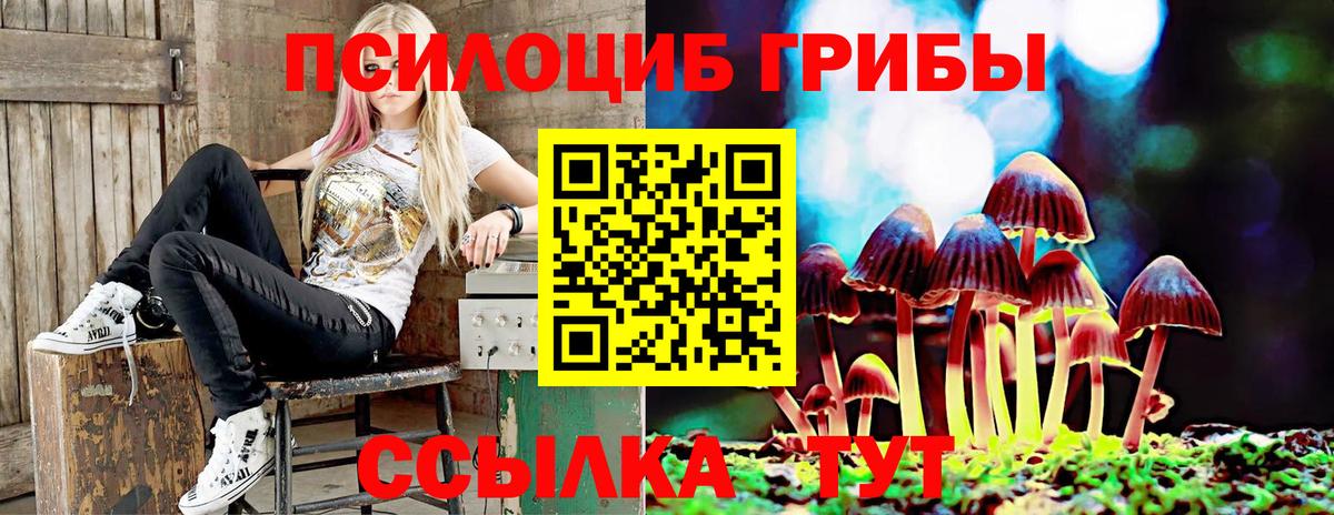 Котельники  Галлюциногенные грибы прущие грибы  Вход с VPN 